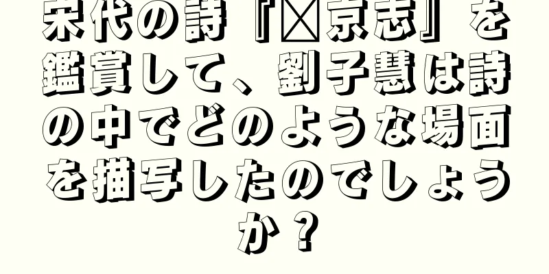 宋代の詩『汴京志』を鑑賞して、劉子慧は詩の中でどのような場面を描写したのでしょうか？