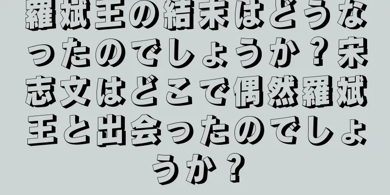 羅斌王の結末はどうなったのでしょうか？宋志文はどこで偶然羅斌王と出会ったのでしょうか？