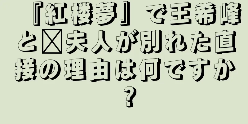 『紅楼夢』で王希峰と邢夫人が別れた直接の理由は何ですか？