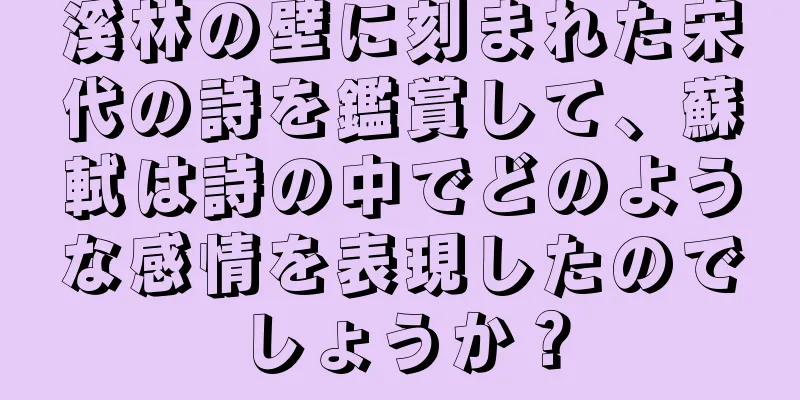 溪林の壁に刻まれた宋代の詩を鑑賞して、蘇軾は詩の中でどのような感情を表現したのでしょうか？