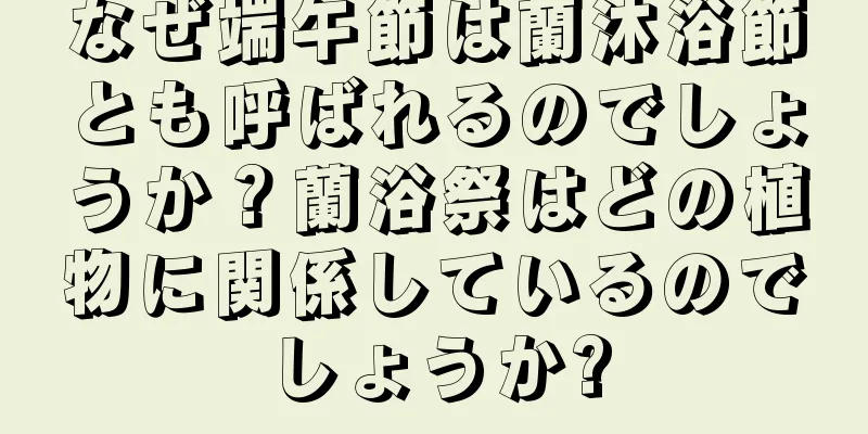 なぜ端午節は蘭沐浴節とも呼ばれるのでしょうか？蘭浴祭はどの植物に関係しているのでしょうか?
