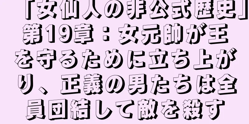 「女仙人の非公式歴史」第19章：女元帥が王を守るために立ち上がり、正義の男たちは全員団結して敵を殺す
