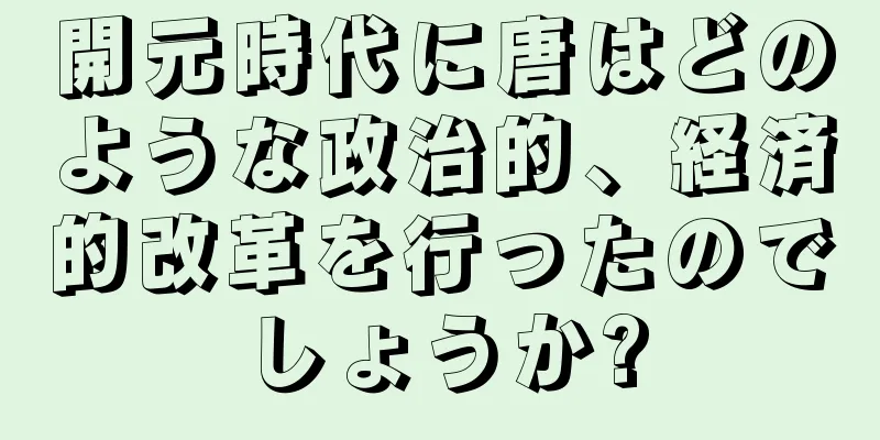開元時代に唐はどのような政治的、経済的改革を行ったのでしょうか?
