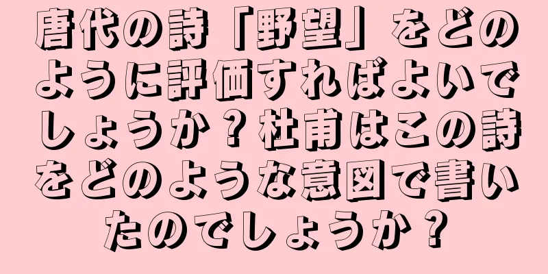 唐代の詩「野望」をどのように評価すればよいでしょうか？杜甫はこの詩をどのような意図で書いたのでしょうか？