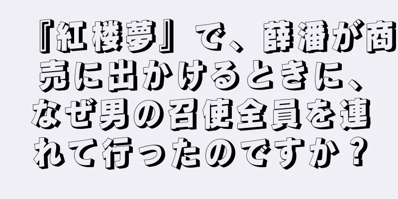 『紅楼夢』で、薛潘が商売に出かけるときに、なぜ男の召使全員を連れて行ったのですか？