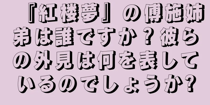 『紅楼夢』の傅施姉弟は誰ですか？彼らの外見は何を表しているのでしょうか?
