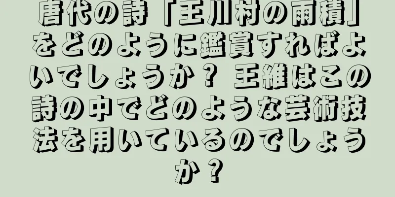 唐代の詩「王川村の雨積」をどのように鑑賞すればよいでしょうか？ 王維はこの詩の中でどのような芸術技法を用いているのでしょうか？