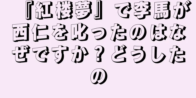 『紅楼夢』で李馬が西仁を叱ったのはなぜですか？どうしたの