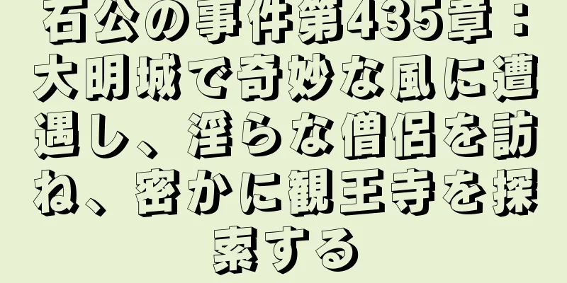 石公の事件第435章：大明城で奇妙な風に遭遇し、淫らな僧侶を訪ね、密かに観王寺を探索する