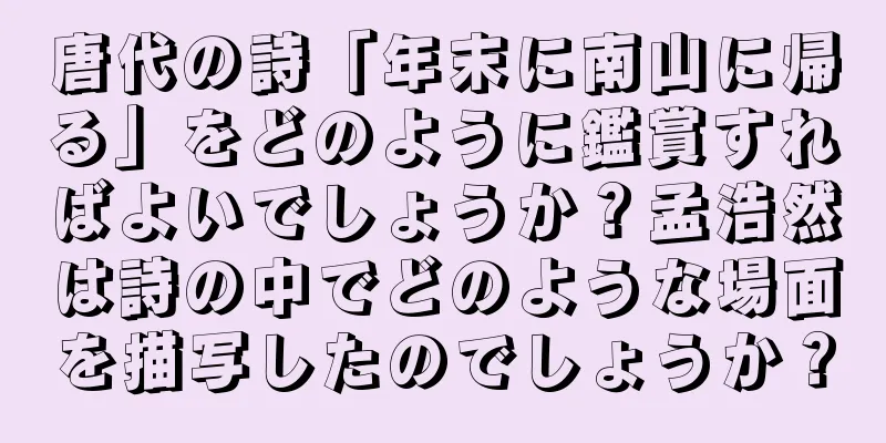 唐代の詩「年末に南山に帰る」をどのように鑑賞すればよいでしょうか？孟浩然は詩の中でどのような場面を描写したのでしょうか？