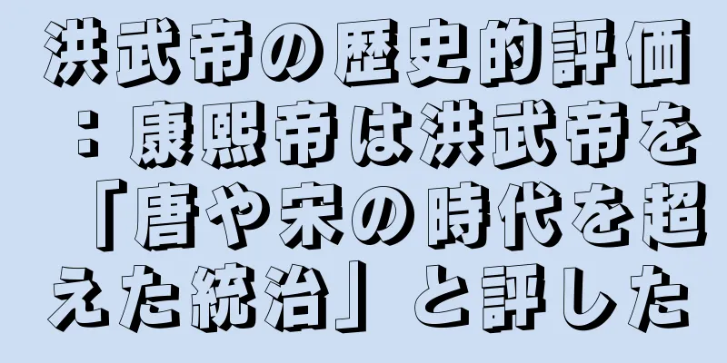 洪武帝の歴史的評価：康熙帝は洪武帝を「唐や宋の時代を超えた統治」と評した
