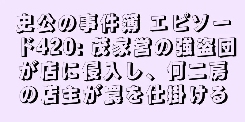 史公の事件簿 エピソード420: 茂家営の強盗団が店に侵入し、何二房の店主が罠を仕掛ける