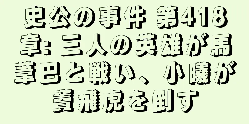 史公の事件 第418章: 三人の英雄が馬葦巴と戦い、小曦が竇飛虎を倒す