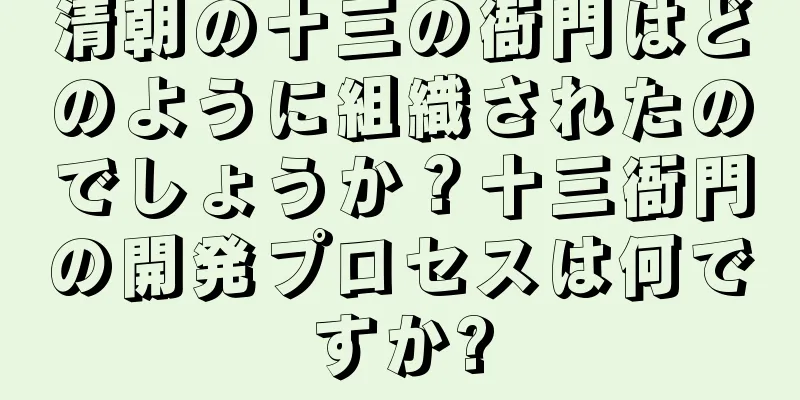 清朝の十三の衙門はどのように組織されたのでしょうか？十三衙門の開発プロセスは何ですか?