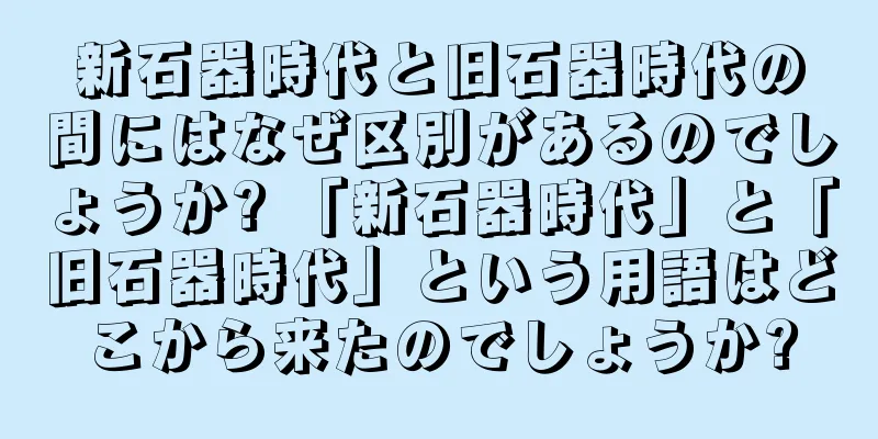 新石器時代と旧石器時代の間にはなぜ区別があるのでしょうか? 「新石器時代」と「旧石器時代」という用語はどこから来たのでしょうか?
