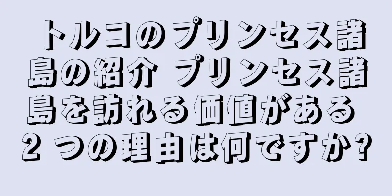 トルコのプリンセス諸島の紹介 プリンセス諸島を訪れる価値がある 2 つの理由は何ですか?