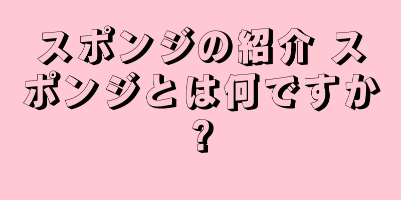 スポンジの紹介 スポンジとは何ですか?
