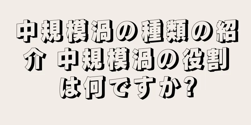 中規模渦の種類の紹介 中規模渦の役割は何ですか?