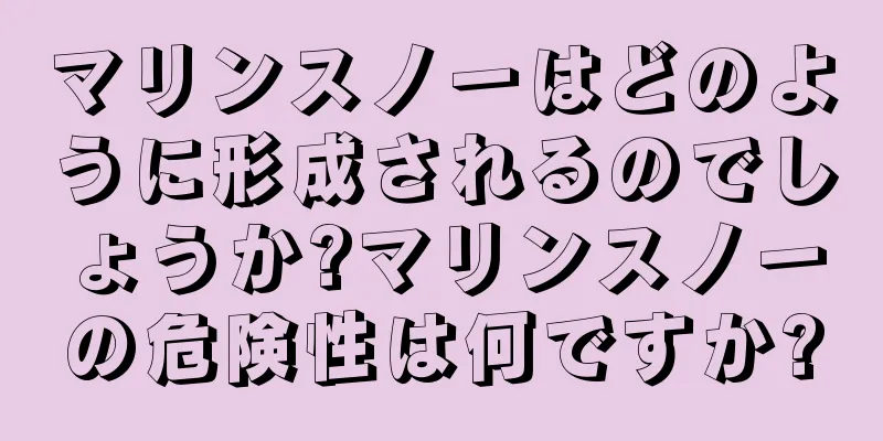 マリンスノーはどのように形成されるのでしょうか?マリンスノーの危険性は何ですか?