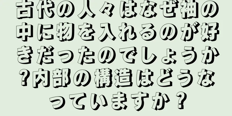 古代の人々はなぜ袖の中に物を入れるのが好きだったのでしょうか?内部の構造はどうなっていますか？