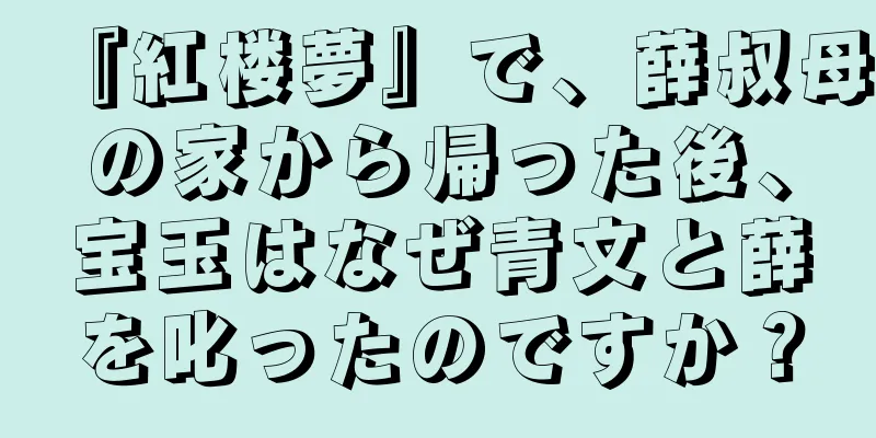 『紅楼夢』で、薛叔母の家から帰った後、宝玉はなぜ青文と薛を叱ったのですか？