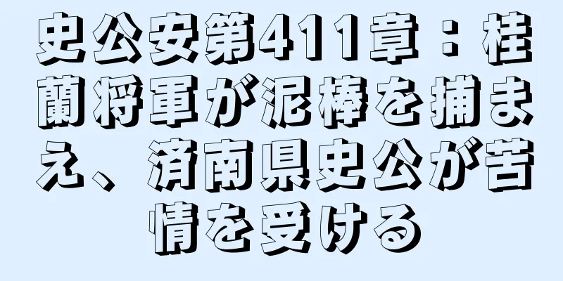 史公安第411章：桂蘭将軍が泥棒を捕まえ、済南県史公が苦情を受ける
