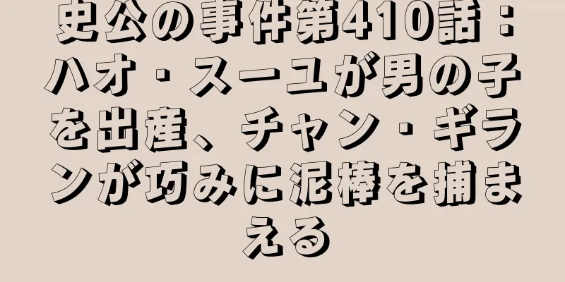 史公の事件第410話：ハオ・スーユが男の子を出産、チャン・ギランが巧みに泥棒を捕まえる