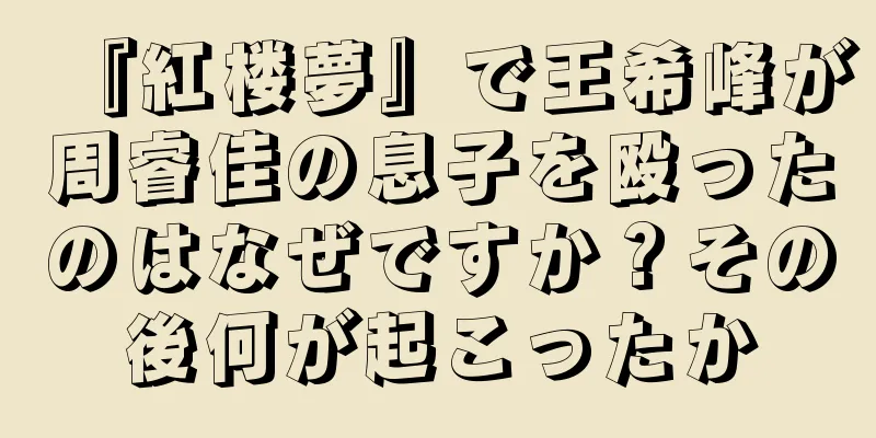 『紅楼夢』で王希峰が周睿佳の息子を殴ったのはなぜですか？その後何が起こったか