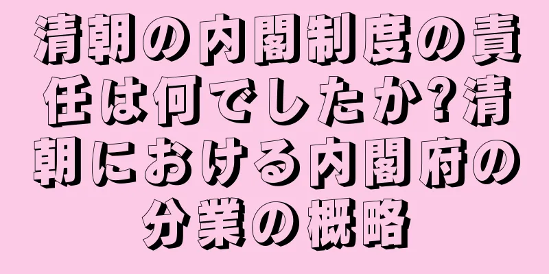清朝の内閣制度の責任は何でしたか?清朝における内閣府の分業の概略
