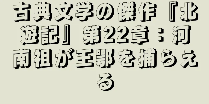 古典文学の傑作『北遊記』第22章：河南祖が王鄂を捕らえる
