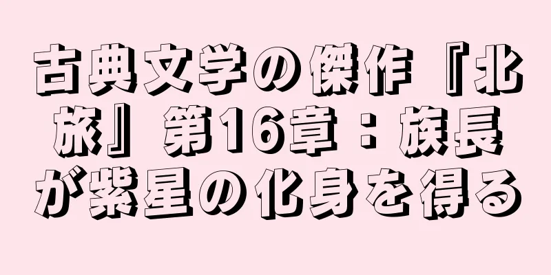 古典文学の傑作『北旅』第16章：族長が紫星の化身を得る