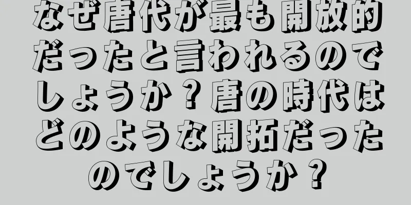 なぜ唐代が最も開放的だったと言われるのでしょうか？唐の時代はどのような開拓だったのでしょうか？