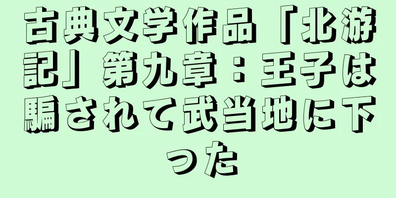 古典文学作品「北游記」第九章：王子は騙されて武当地に下った