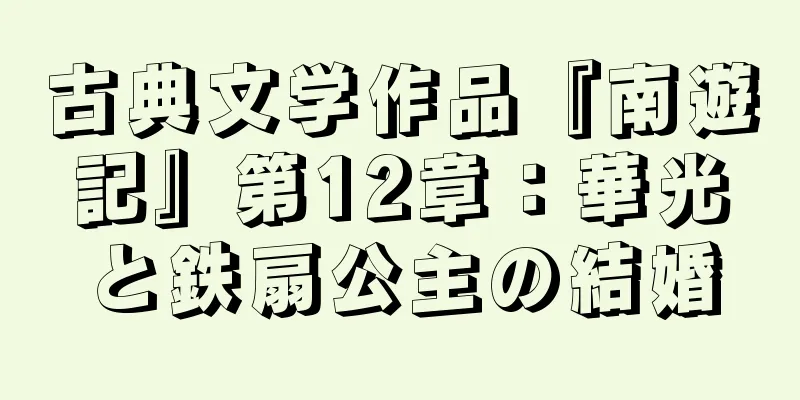 古典文学作品『南遊記』第12章：華光と鉄扇公主の結婚