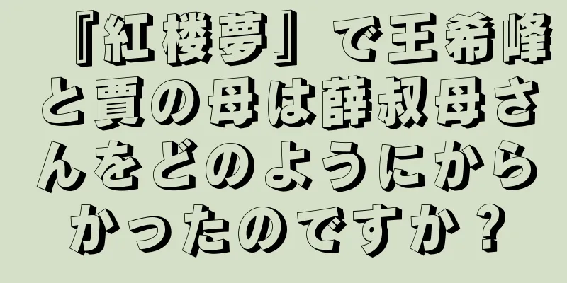 『紅楼夢』で王希峰と賈の母は薛叔母さんをどのようにからかったのですか？