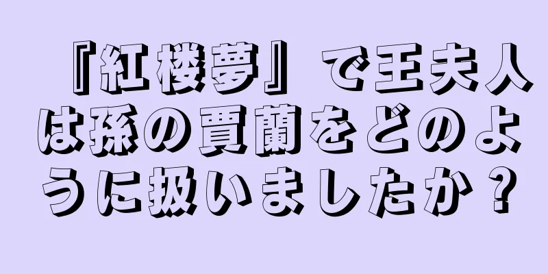 『紅楼夢』で王夫人は孫の賈蘭をどのように扱いましたか？