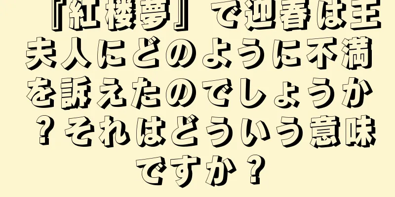 『紅楼夢』で迎春は王夫人にどのように不満を訴えたのでしょうか？それはどういう意味ですか？