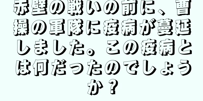 赤壁の戦いの前に、曹操の軍隊に疫病が蔓延しました。この疫病とは何だったのでしょうか？