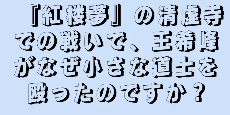 『紅楼夢』の清虚寺での戦いで、王希峰がなぜ小さな道士を殴ったのですか？