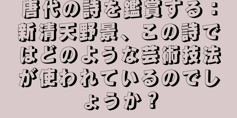 唐代の詩を鑑賞する：新清天野景、この詩ではどのような芸術技法が使われているのでしょうか？