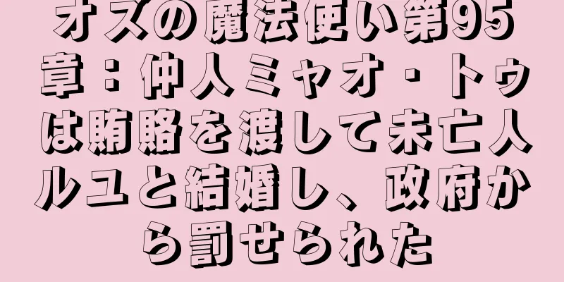 オズの魔法使い第95章：仲人ミャオ・トゥは賄賂を渡して未亡人ルユと結婚し、政府から罰せられた