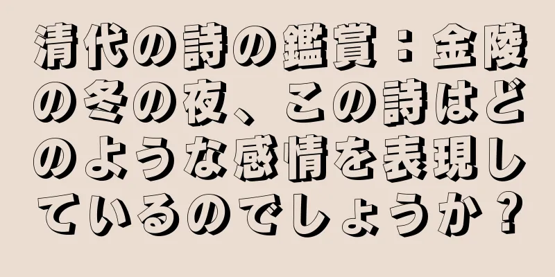 清代の詩の鑑賞：金陵の冬の夜、この詩はどのような感情を表現しているのでしょうか？