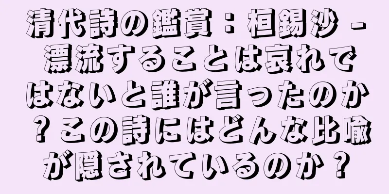 清代詩の鑑賞：桓錫沙 - 漂流することは哀れではないと誰が言ったのか？この詩にはどんな比喩が隠されているのか？
