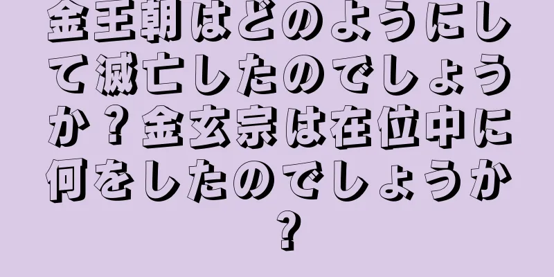 金王朝はどのようにして滅亡したのでしょうか？金玄宗は在位中に何をしたのでしょうか？
