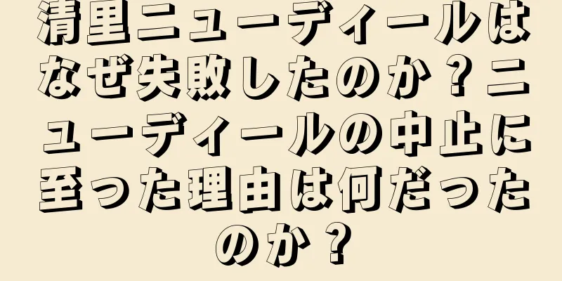 清里ニューディールはなぜ失敗したのか？ニューディールの中止に至った理由は何だったのか？