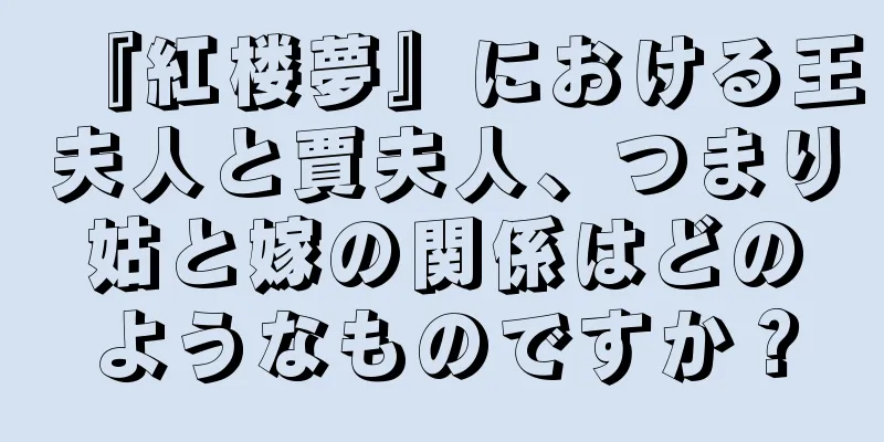 『紅楼夢』における王夫人と賈夫人、つまり姑と嫁の関係はどのようなものですか？