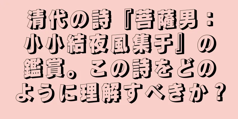 清代の詩『菩薩男：小小結夜風集于』の鑑賞。この詩をどのように理解すべきか？