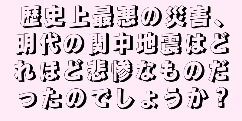 歴史上最悪の災害、明代の関中地震はどれほど悲惨なものだったのでしょうか？
