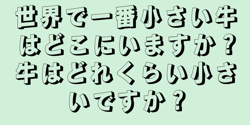 世界で一番小さい牛はどこにいますか？牛はどれくらい小さいですか？