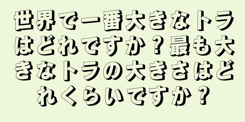 世界で一番大きなトラはどれですか？最も大きなトラの大きさはどれくらいですか？